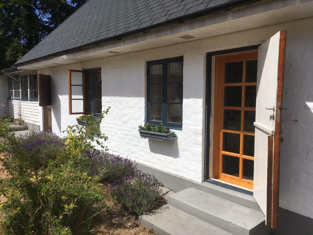 Sandhammaren ,Skane Loderup Bagian luar foto
