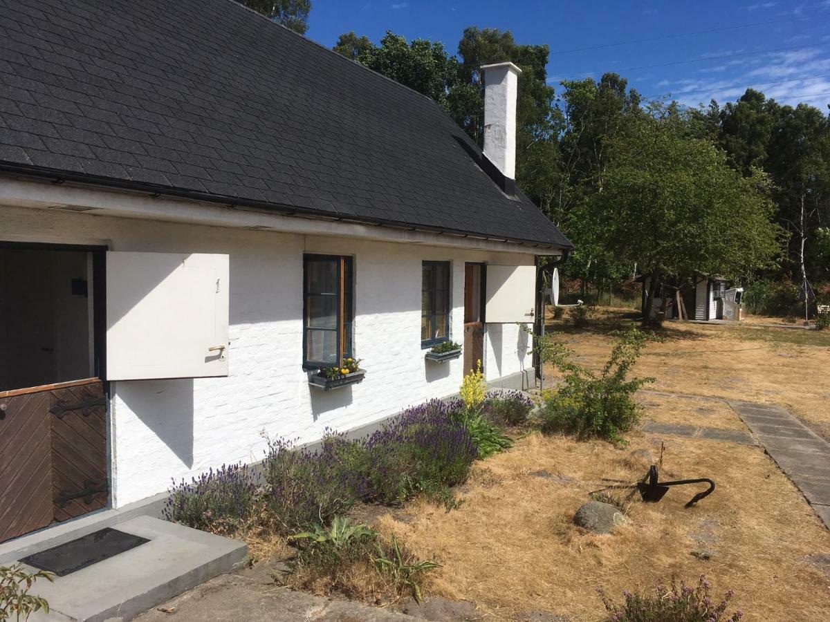 Sandhammaren ,Skane Loderup Bagian luar foto