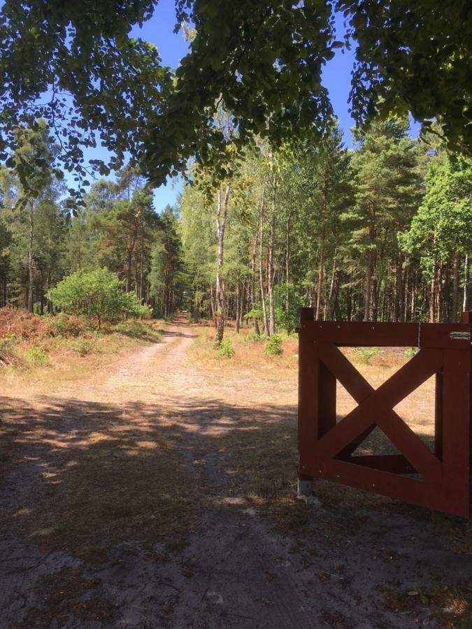 Sandhammaren ,Skane Loderup Bagian luar foto